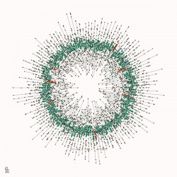 128 confidence intervals N=∞ n=30 1-alpha=95% -  theme 2 